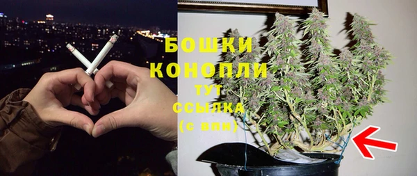 прущий лед Вяземский