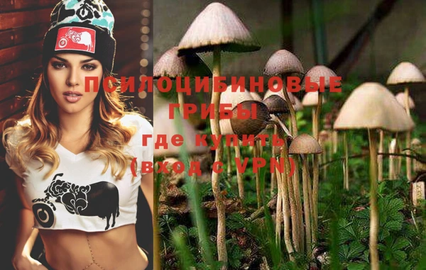 PSILOCYBIN Волоколамск