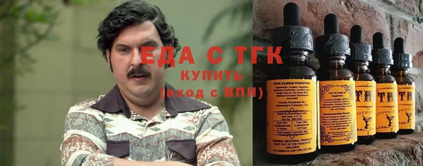 прущий лед Вяземский